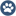 ezyVet